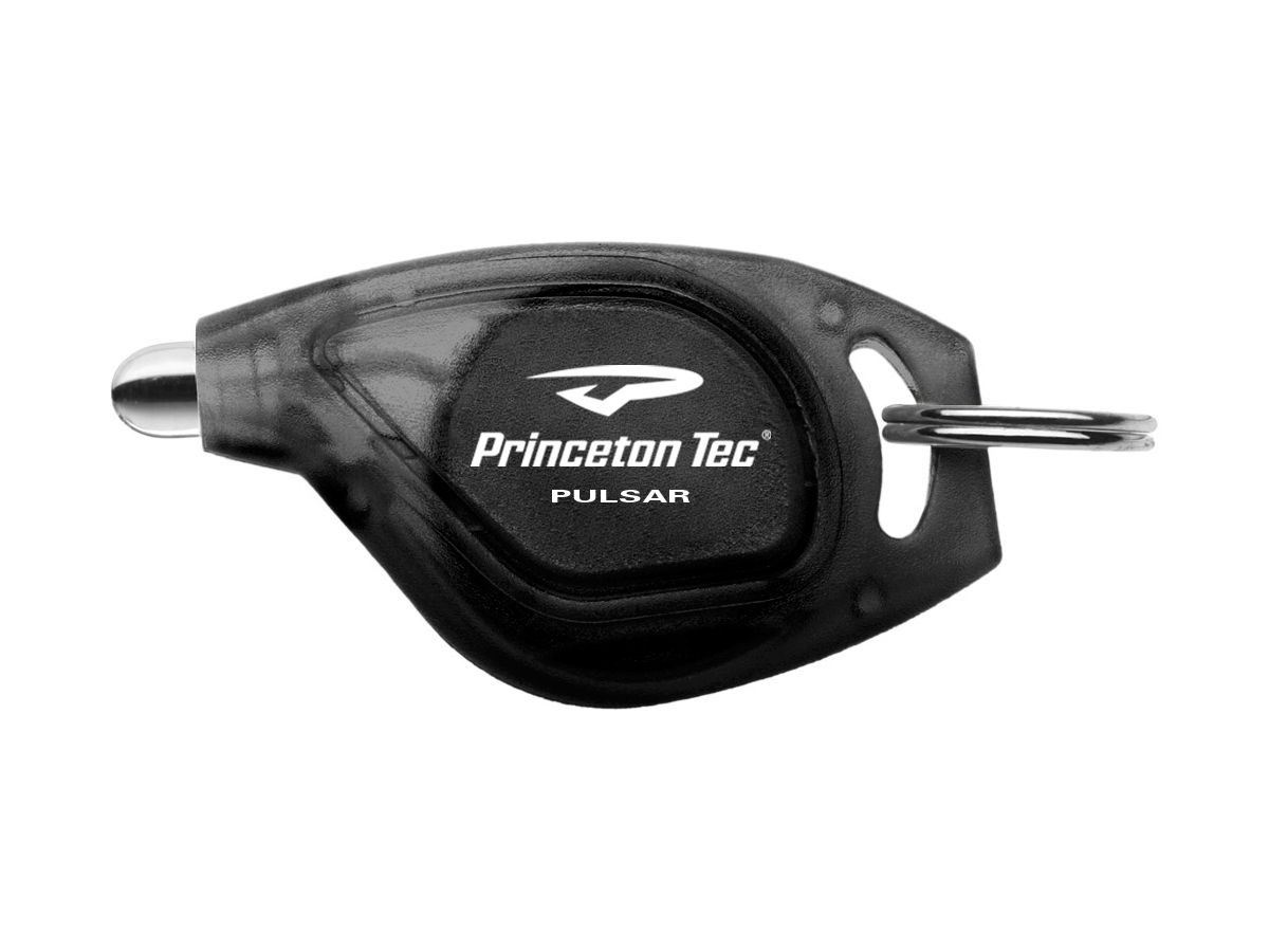 Princeton Carabiner Keychain - Black